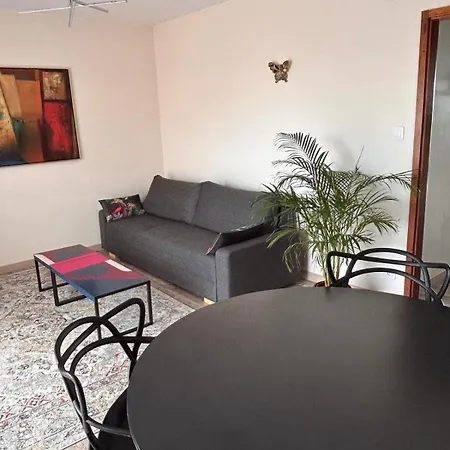 Appartement Sur Les Bords De L'Ill Straßburg Exterior foto