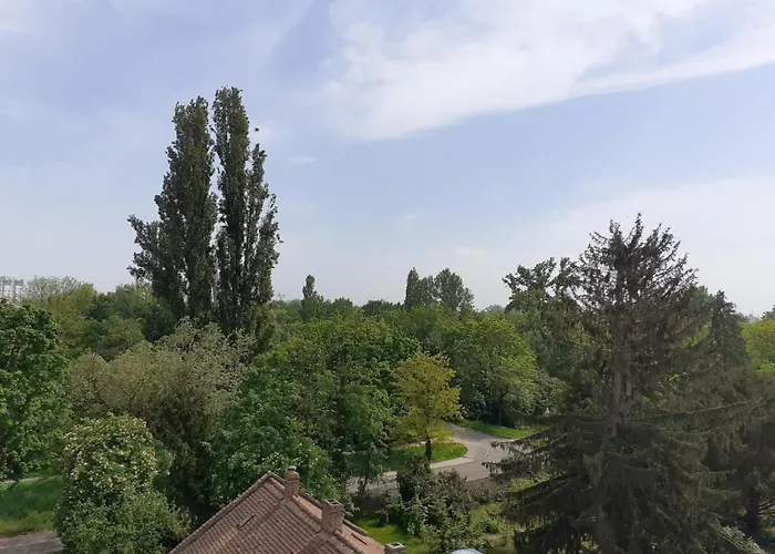 Appartement Sur Les Bords De L\'Ill