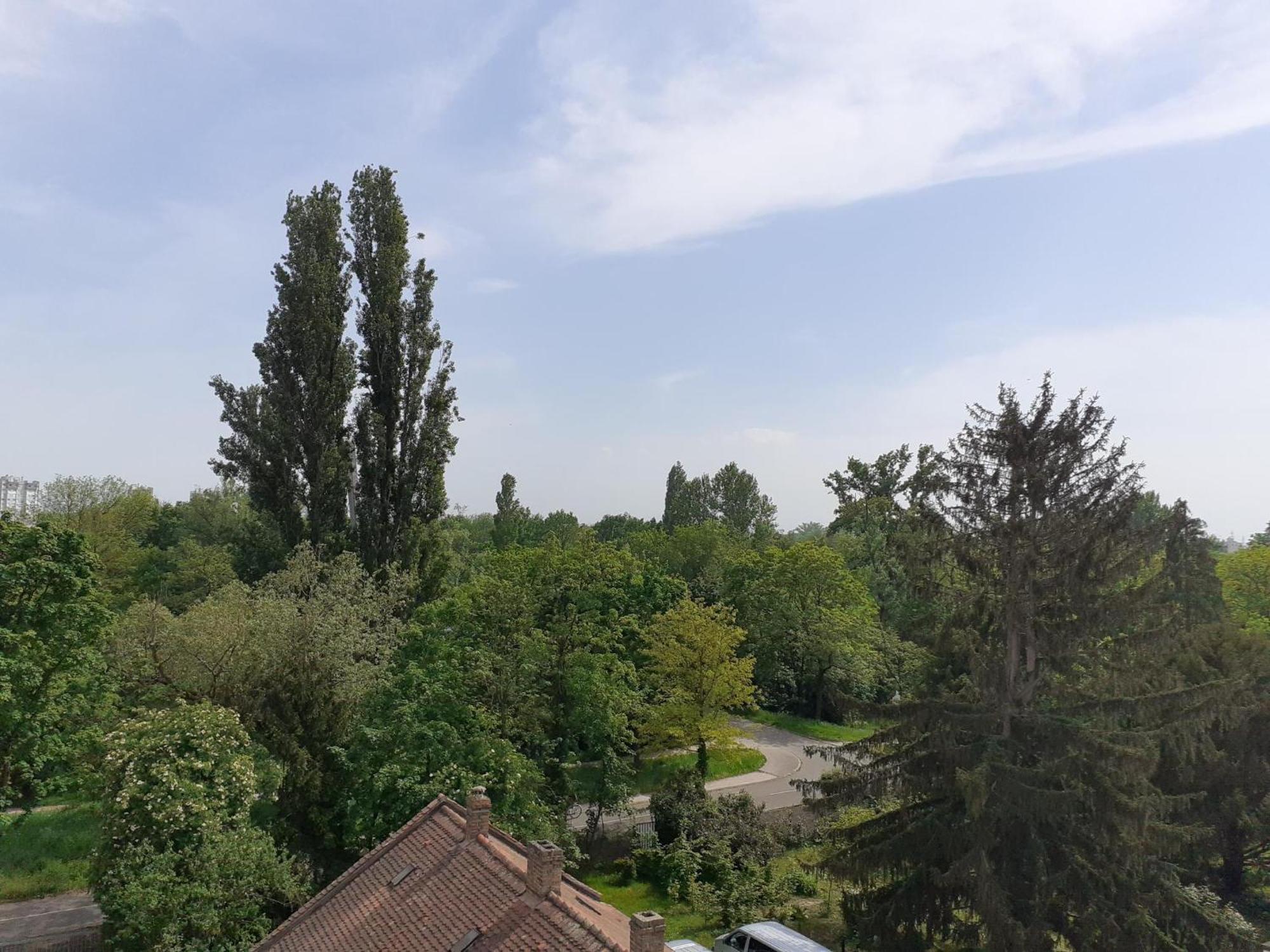 Sur Les Bords De L'ill Appartamento Strasburgo